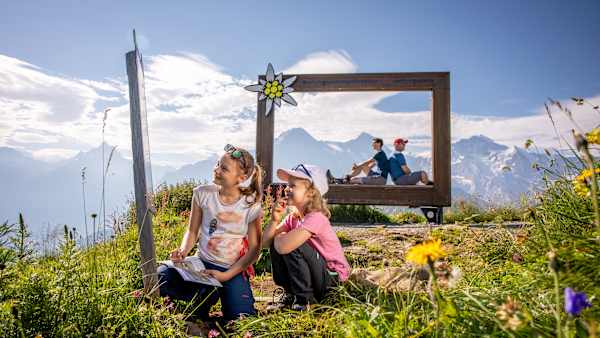 Lily’s Treasure Hunt Schynige Platte