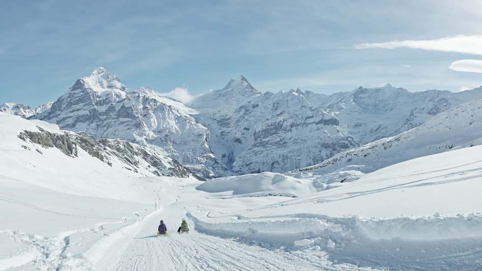 Schlitteln Grindelwald Schlittelweg Wetterhorn Schreckhorn