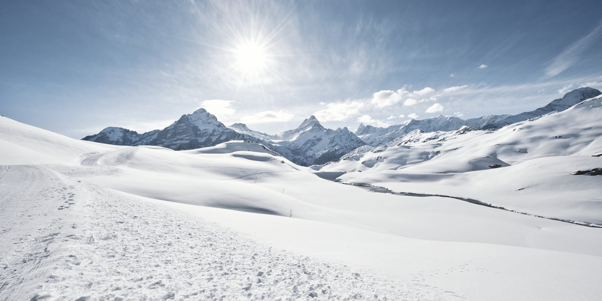 Longest cams Telegraph