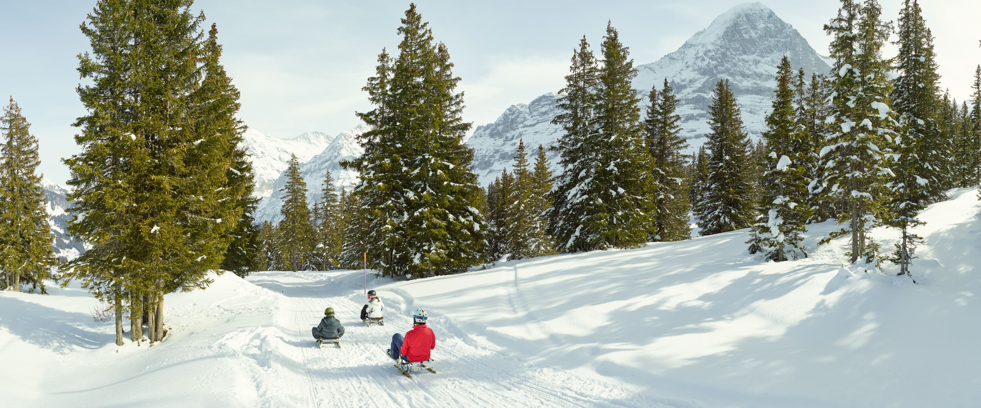 Sledging jungfrau.ch