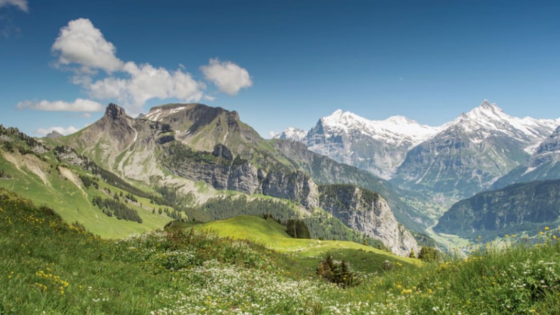 Wanderticket Schynige Platte Grindelwald First