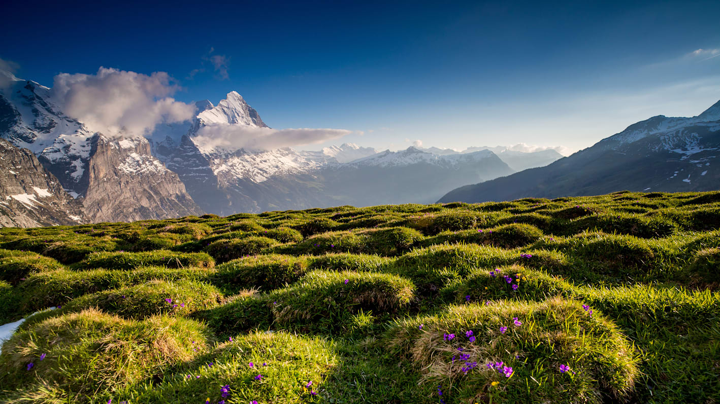 Berge, Eiger, Frühling, Grindelwald, Grindelwald-First-Sommer, Sommer, Verhältnisse, jungfrau.ch
