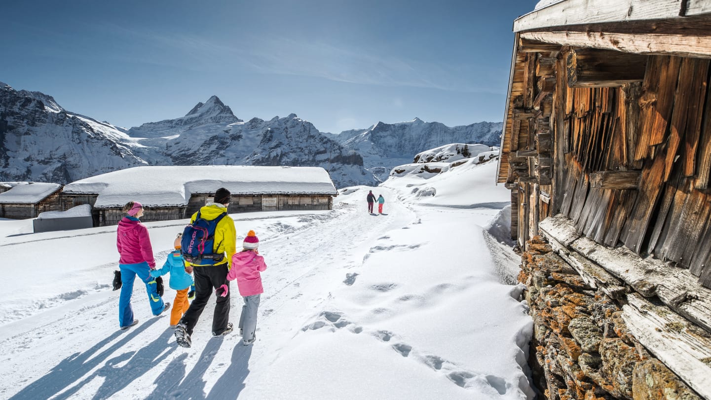Wander Schlittelpass Grindelwald Wengen