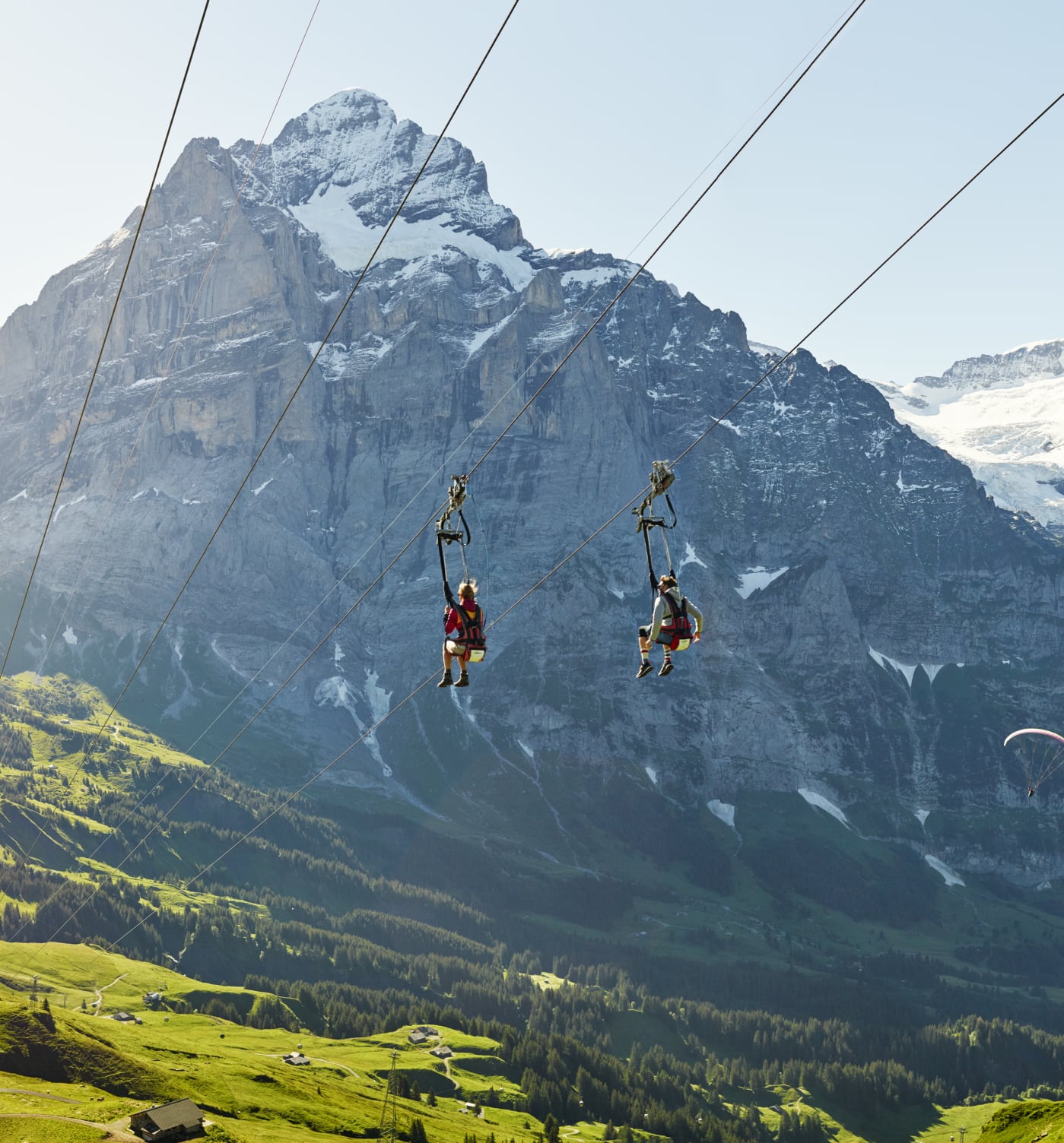 Grindelwald First Flieger Sommer Wetterhorn Schreckhorn Alpen