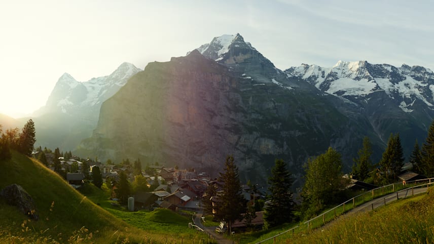 Suche Jungfrau Suche Jungfrau