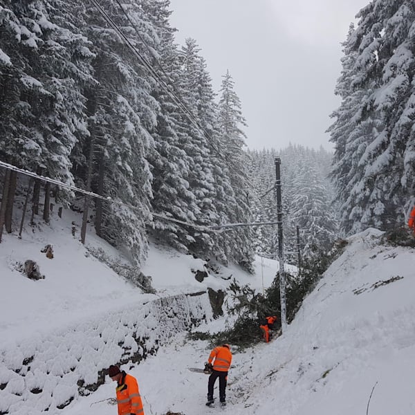 Sturmschäden: Strecke Wengen-Kleine Scheidegg ab Samstag offen